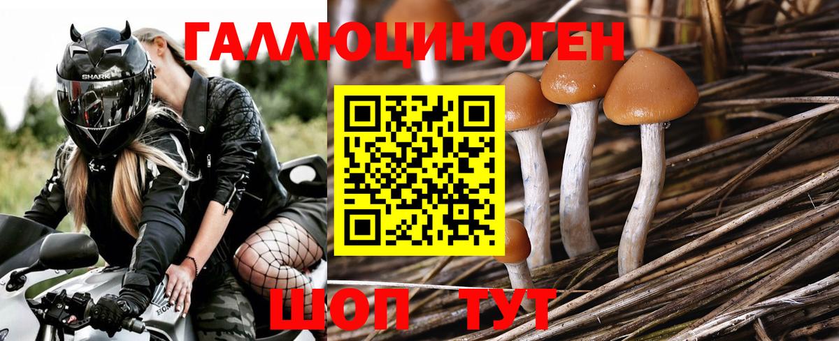 Великий Новгород  Псилоцибиновые грибы мицелий  Псилоцибиновые грибы мухоморы  Вход с VPN 